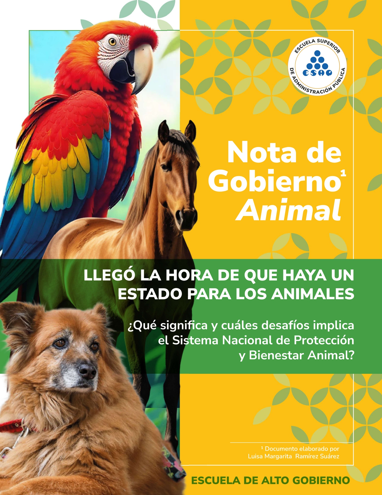 04_NG_PROTECCION-ANIMAL.jpg